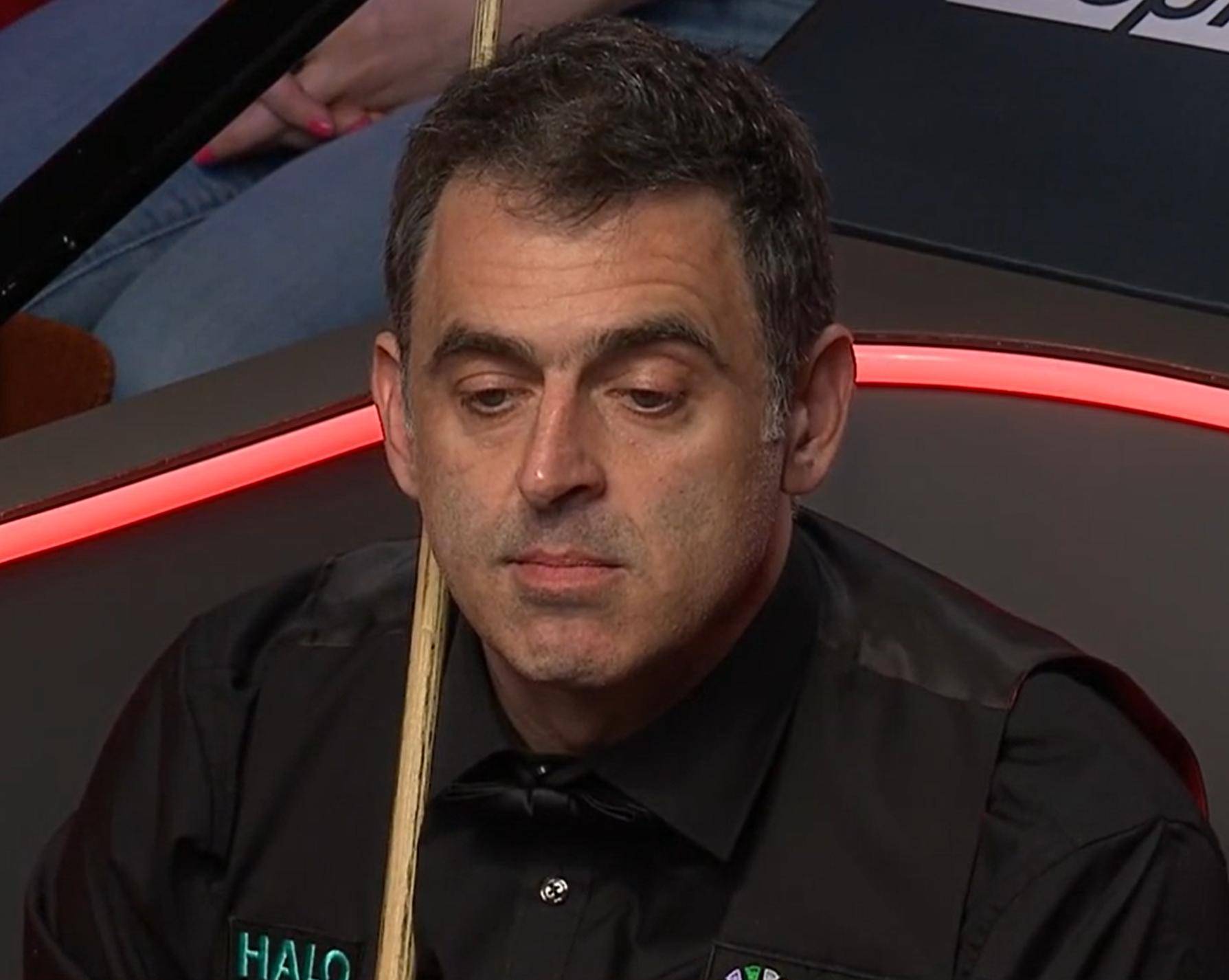 特担任西班 特担任西班