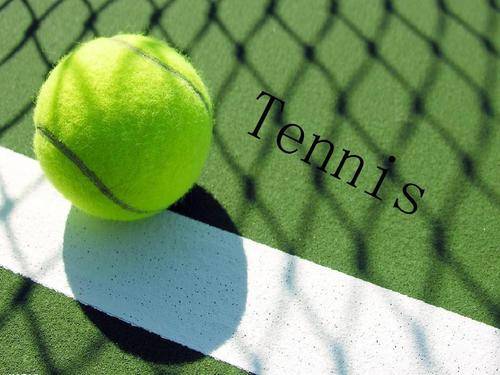 了同曦队的 了同曦队的